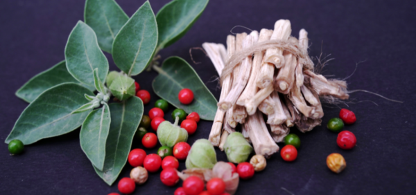 Ashwagandha: 5 unglaubliche Vorteile der Schlafbeere