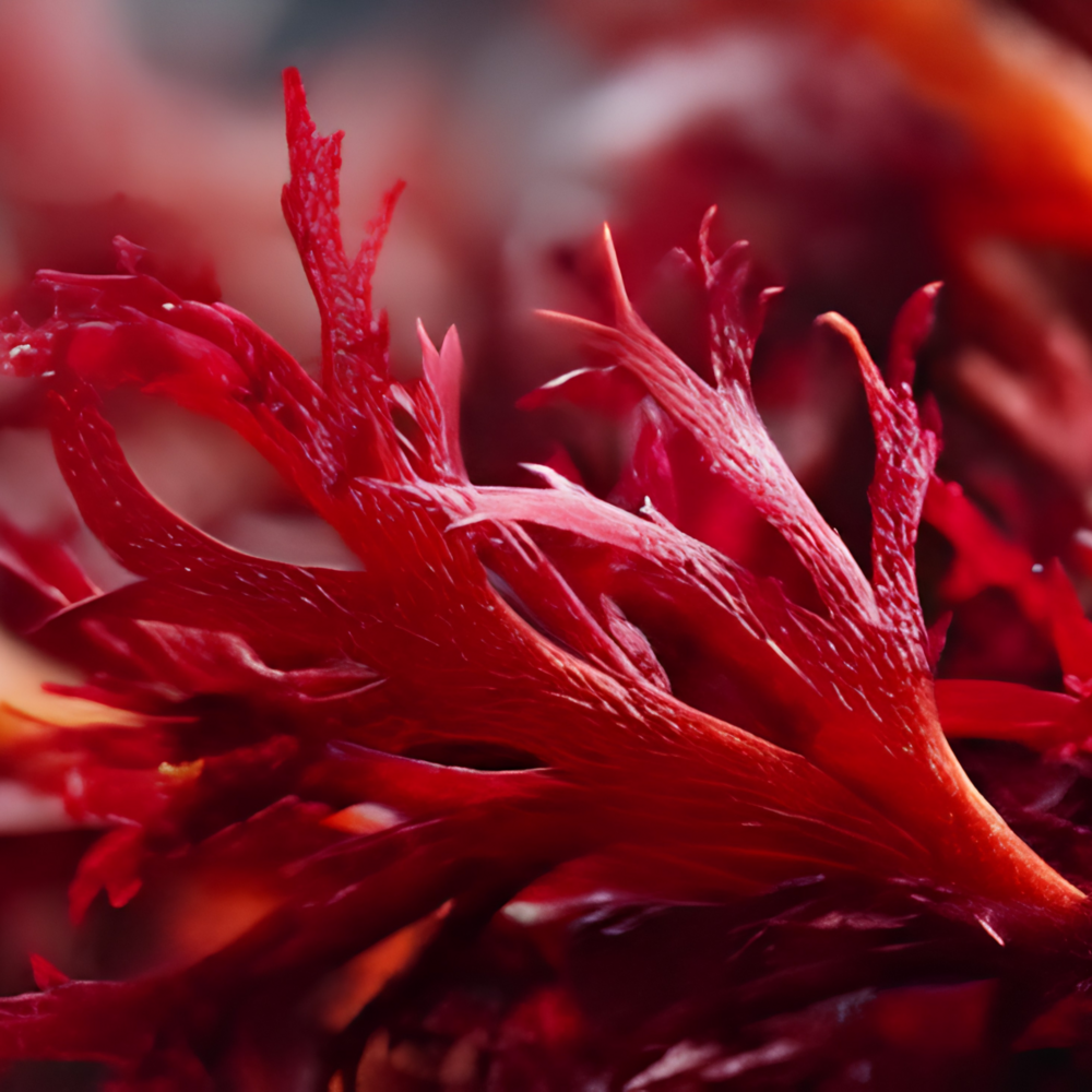 Extracto de Astaxantina Liposomal 