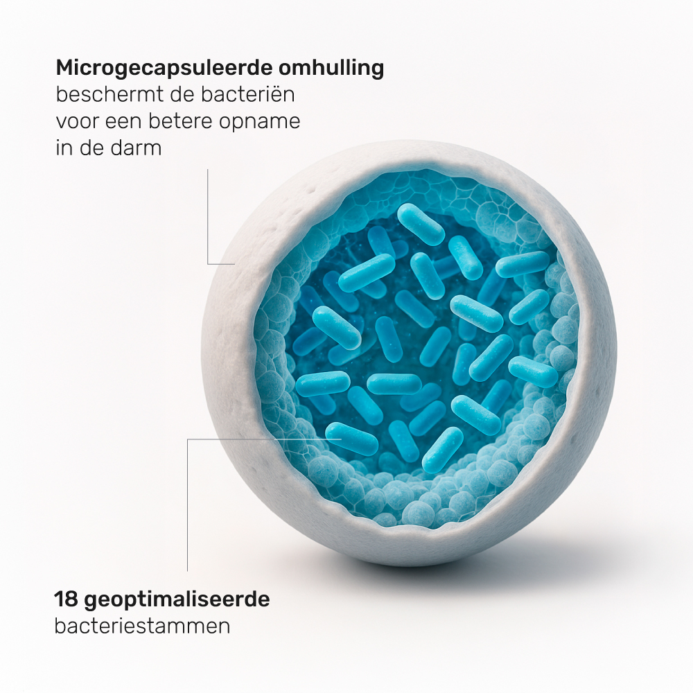 Microingekapselde Probiotica