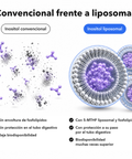 Inositol + 5-MTHF Liposomal: Convencional frente a liposomal