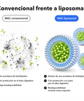 NAC Liposomal: Convencional frente a liposomal