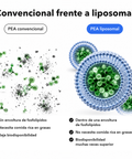 PEA Liposomal: Convencional frente a liposomal