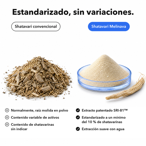 Shatavari: Estandarizado, sin variaciones