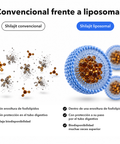 Shilajit Liposomal: Convencional frente a liposomal