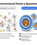 Ashwagandha Liposomal: Convencional frente a liposomal