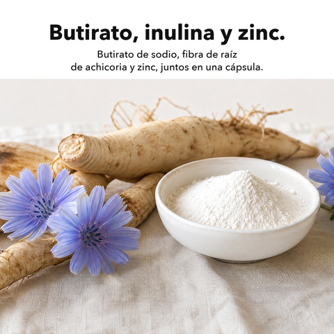 Butirato Microencapsulado: Butirato, inulina y zinc