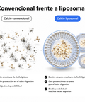 Calcio Liposomal: Convencional frente a liposomal