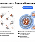 Cobre Liposomal: Convencional frente a liposomal