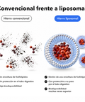 Complejo de Hierro Liposomal: Convencional frente a liposomal