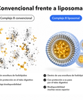 Complejo de Vitaminas B Liposomal: Convencional frente a liposomal