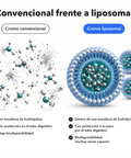 Cromo Liposomal: Convencional frente a liposomal