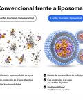 Extracto de Cardo Mariano Liposomal: Convencional frente a liposomal