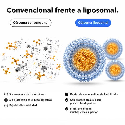 Extracto de Cúrcuma Liposomal (Cápsulas): Convencional frente a liposomal