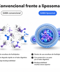 GABA Liposomal: Convencional frente a liposomal