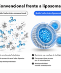 Ácido Hialurónico Liposomal: Convencional frente a liposomal