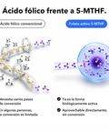 Inositol + 5-MTHF Liposomal: Ácido fólico frente a 5-MTHF