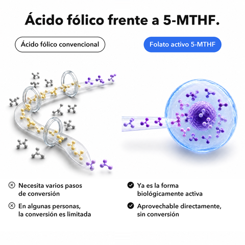 Inositol + 5-MTHF Liposomal: Ácido fólico frente a 5-MTHF