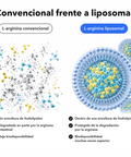 L-Arginina Liposomal: Convencional frente a liposomal
