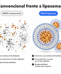 NADH Liposomal: Convencional frente a liposomal