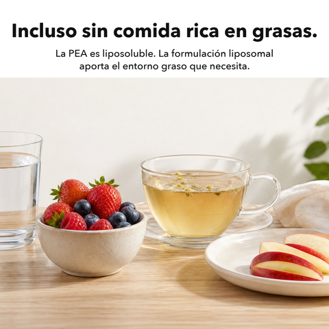 PEA Liposomal: Incluso sin comida rica en grasas