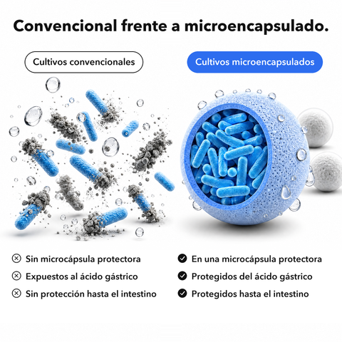 Probióticos: Convencional frente a microencapsulado