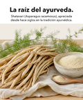 Shatavari: La raíz del ayurveda