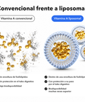 Vitamina A Liposomal: Convencional frente a liposomal