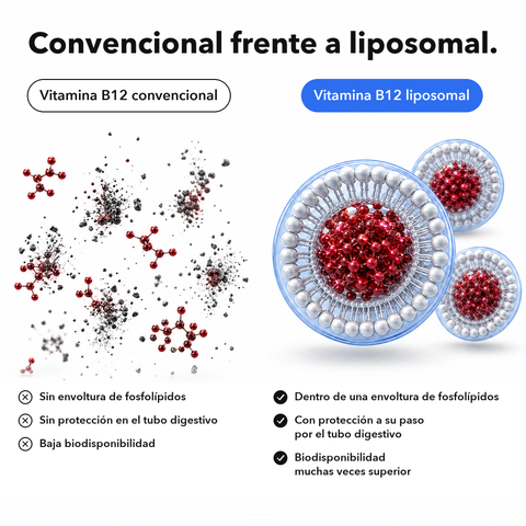 Vitamina B12 Liposomal (Cápsulas): Convencional frente a liposomal