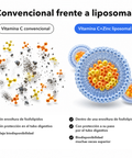 Vitamina C+Zinc Liposomal: Convencional frente a liposomal