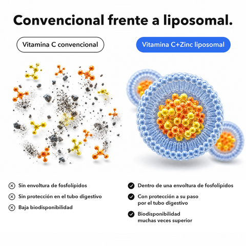 Vitamina C+Zinc Liposomal: Convencional frente a liposomal