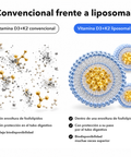 Vitamina D3+K2 Liposomal: Convencional frente a liposomal