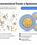 Vitamina D3+K2 Liposomal (Cápsulas): Convencional frente a liposomal