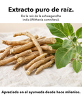 Ashwagandha Liposomal (Cápsulas): Extracto puro de raíz
