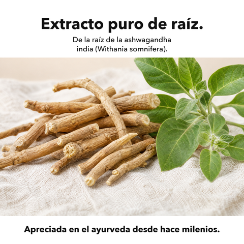 Ashwagandha Liposomal (Cápsulas): Extracto puro de raíz