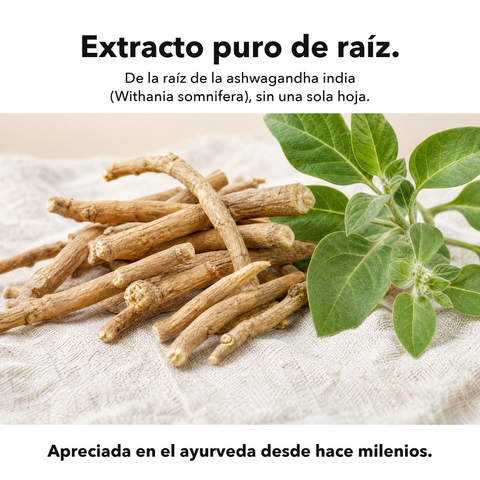 Ashwagandha Liposomal: Extracto puro de raíz