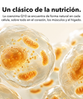 Coenzima Q10 Liposomal: Un clásico de la nutrición