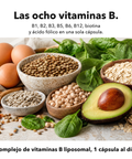 Complejo de Vitaminas B Liposomal: Las ocho vitaminas B