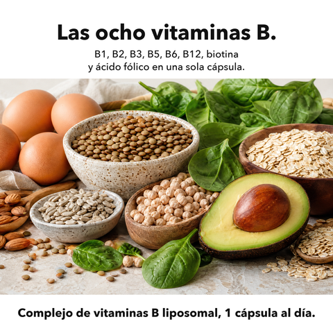 Complejo de Vitaminas B Liposomal: Las ocho vitaminas B
