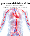 L-Arginina Liposomal: El precursor del óxido nítrico