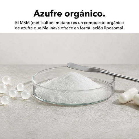 MSM Liposomal: Azufre orgánico