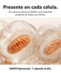 NADH Liposomal: Presente en cada célula