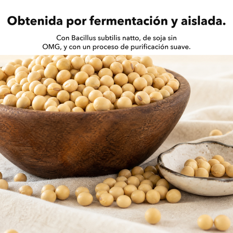Nattokinasa 2000 FU: Obtenida por fermentación y aislada