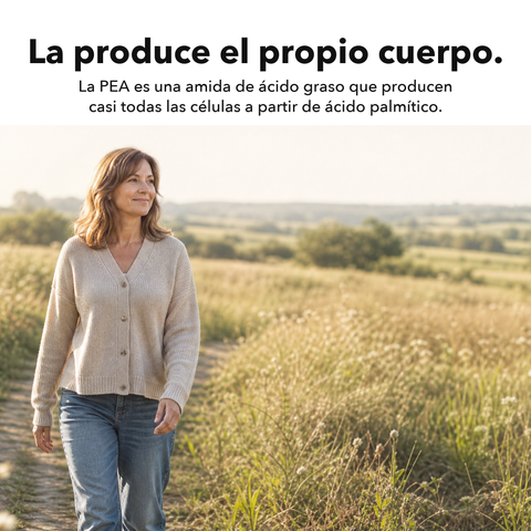 PEA Liposomal: La produce el propio cuerpo