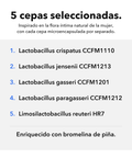 Íntima Probióticos Microencapsulados: 5 cepas seleccionadas