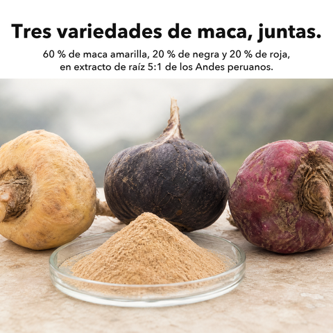 Raíz de Maca Liposomal: Tres variedades de maca, juntas