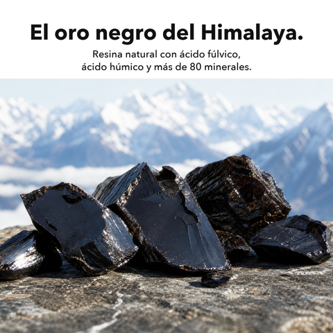 Shilajit Liposomal: El oro negro del Himalaya