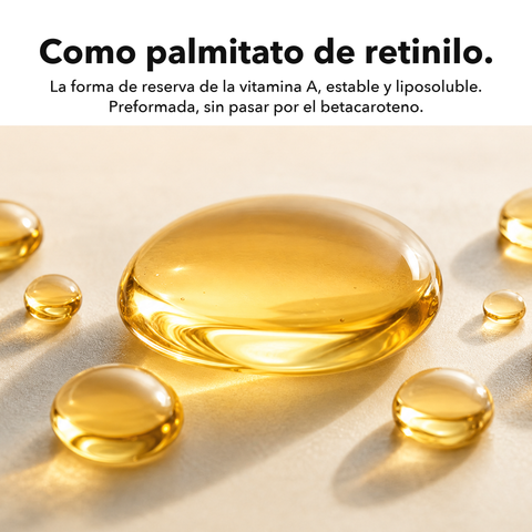 Vitamina A Liposomal: Como palmitato de retinilo