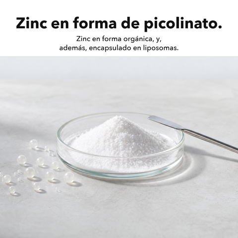 Zinc Liposomal: Zinc en forma de picolinato