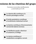Balance Interno Liposomal: Funciones de las vitaminas del grupo B