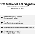 Citrato de Magnesio Liposomal: Otras funciones del magnesio